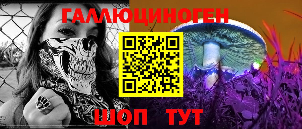 Острогожск  Галлюциногенные грибы Cubensis  Галлюциногенные грибы прущие грибы  Вход с VPN 